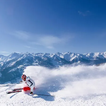 Almstube Fritz Appartamento Wald im Pinzgau